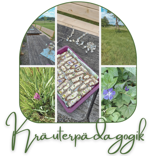 Kräuterpädagogik Kräuterpädagogik
